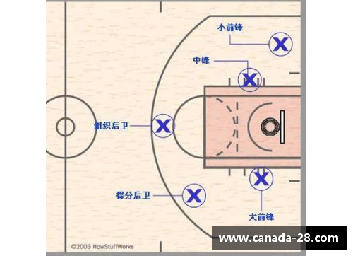 NBA五号位置核心：探索球场上的领导力与团队默契