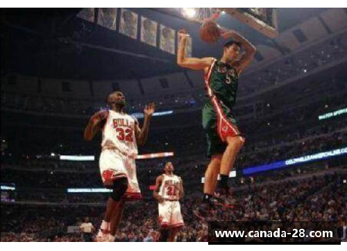 NBA插画大观：激情篮球视角下的绘画精粹