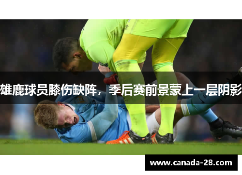 雄鹿球员膝伤缺阵，季后赛前景蒙上一层阴影